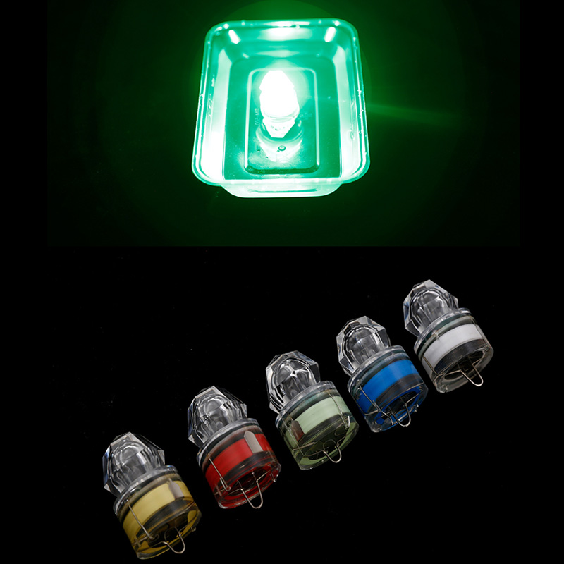 Paquete de 10 Luces LED para P - Fishing Equipment English reseña y precio